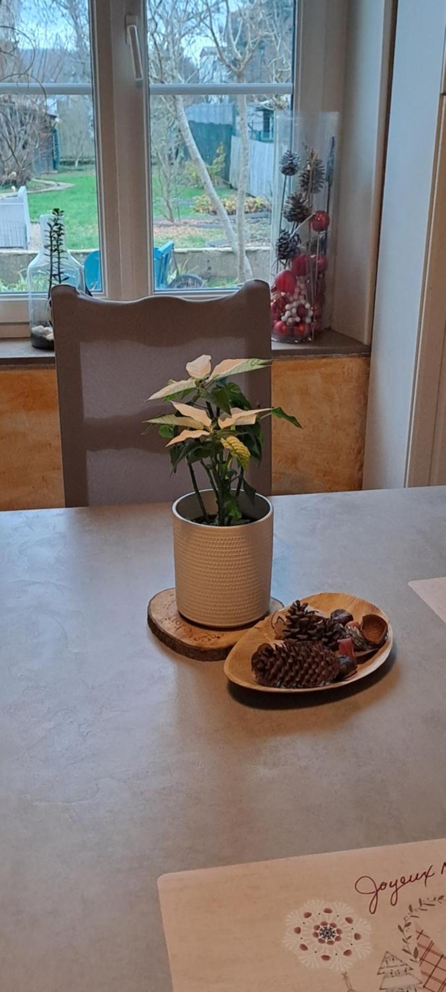 Terville L'Etoile Du Matin Bed & Breakfast エクステリア 写真